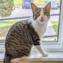 Thumbnail photo of Jewel #1