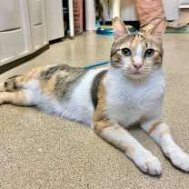 Thumbnail photo of Sally (& Tony) bonded #1