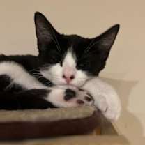 Thumbnail photo of Bristol #4