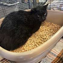 Thumbnail photo of Galileo  #2