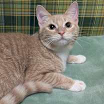 Thumbnail photo of Hayley #1