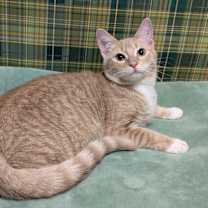 Thumbnail photo of Hayley #2