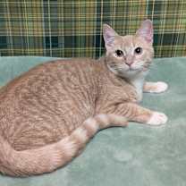 Thumbnail photo of Hayley #3