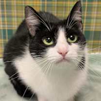 Thumbnail photo of Jasmine #1