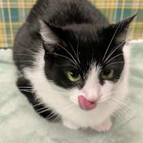 Thumbnail photo of Jasmine #3