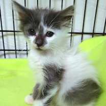 Thumbnail photo of Tegan #1