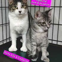 Thumbnail photo of Cindy-Lou #2