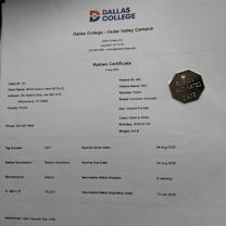 Thumbnail photo of Navi #2