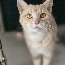 Thumbnail photo of Graham #3