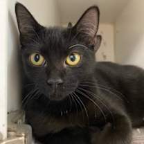 Thumbnail photo of Dot #1