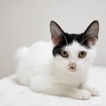 Thumbnail photo of Eva #2