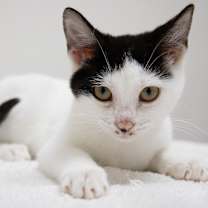 Thumbnail photo of Eva #3