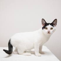 Thumbnail photo of Eva #4