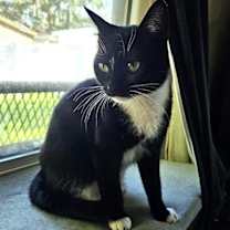 Thumbnail photo of Demi #1