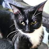 Thumbnail photo of Demi #2