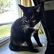 Thumbnail photo of Demi #3