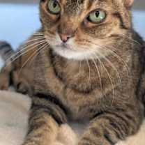 Thumbnail photo of Leslie #1