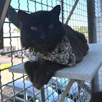 Thumbnail photo of Lilly #3