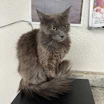 Thumbnail photo of Trick #1