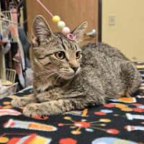 Thumbnail photo of Starla #1