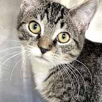 Thumbnail photo of East #1