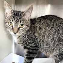 Thumbnail photo of East #3