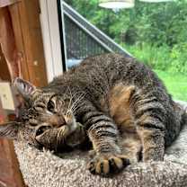 Thumbnail photo of Anna #1