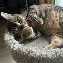 Thumbnail photo of Anna #3