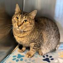 Thumbnail photo of Vanessa #1