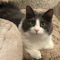 Thumbnail photo of Natalie #4