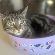 Thumbnail photo of Tim #1