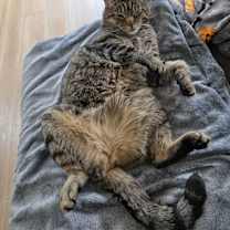 Thumbnail photo of Johnny #2