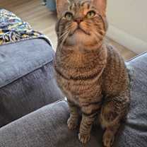 Thumbnail photo of Johnny #3