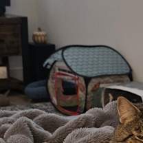 Thumbnail photo of Johnny #4