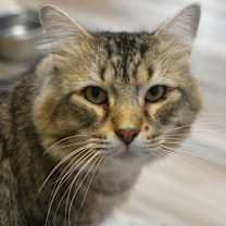 Thumbnail photo of Carter #2