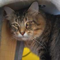 Thumbnail photo of Carter #3