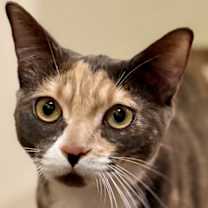 Thumbnail photo of Spiff #1