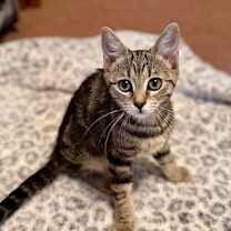 Thumbnail photo of Journey #2