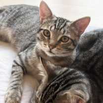 Thumbnail photo of Crunchy #3