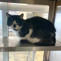 Thumbnail photo of Little one  #1