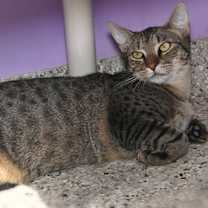 Thumbnail photo of Jim Halpurrt #2