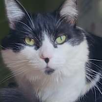 Thumbnail photo of Sabrina #2