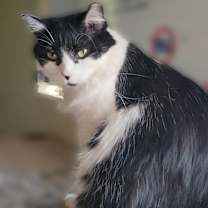 Thumbnail photo of Sabrina #3