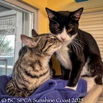 Thumbnail photo of Rye #2