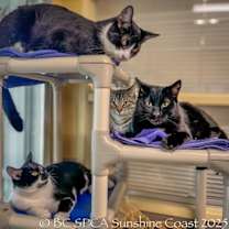 Thumbnail photo of Rye #3