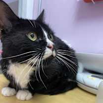 Thumbnail photo of Morty #2