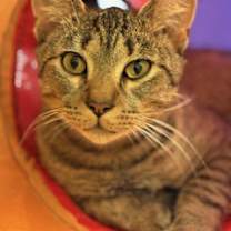 Thumbnail photo of Brian #1