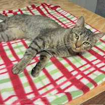 Thumbnail photo of Brian #4