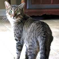 Thumbnail photo of Samuel #1