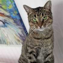 Thumbnail photo of Samuel #2